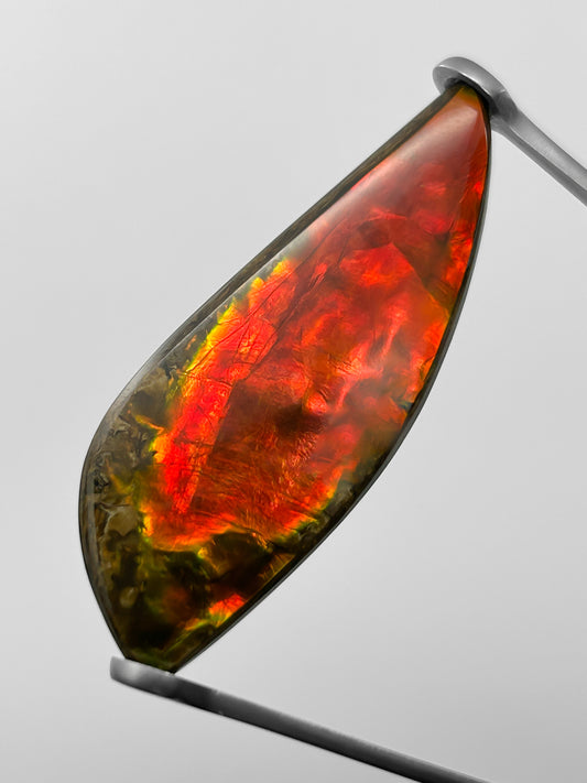 Amolite (Canadá) 32,36 Quilates