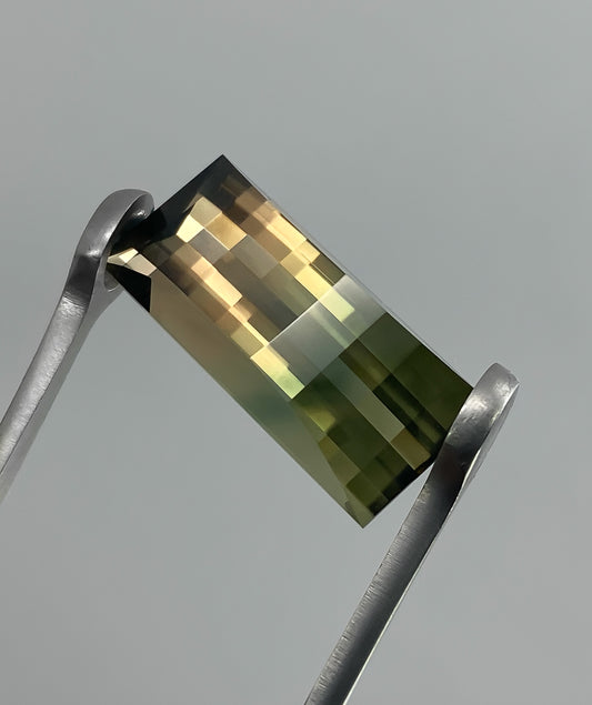 Turmalina Bicolor Pixel 14,14 Quilates