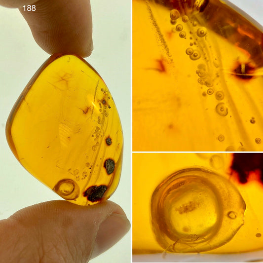 Ámbar Dominicano con Burbujas