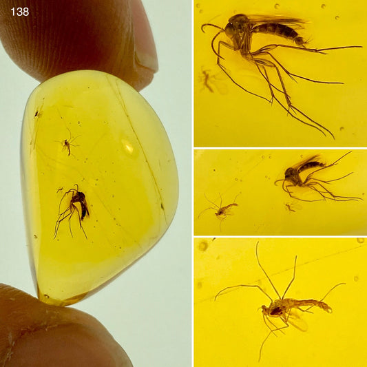 Ámbar Dominicano con Mosquitos