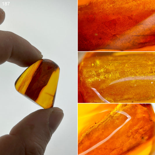 Ámbar Dominicano con Vegetación