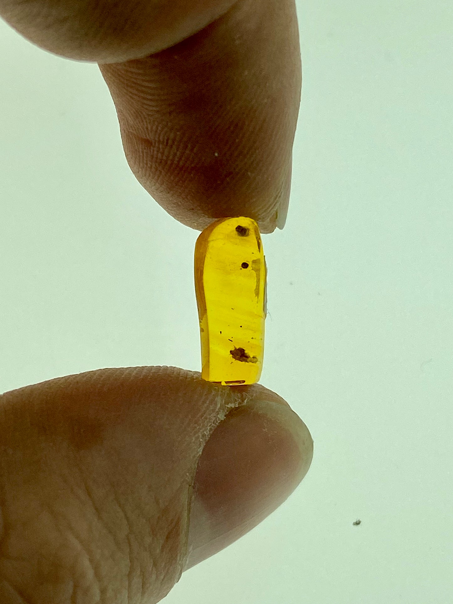 Ámbar Dominicano con Milpiés