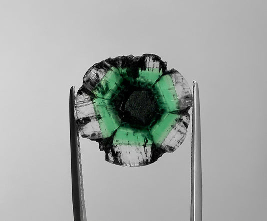 Esmeralda Trapiche 9,04 Quilates