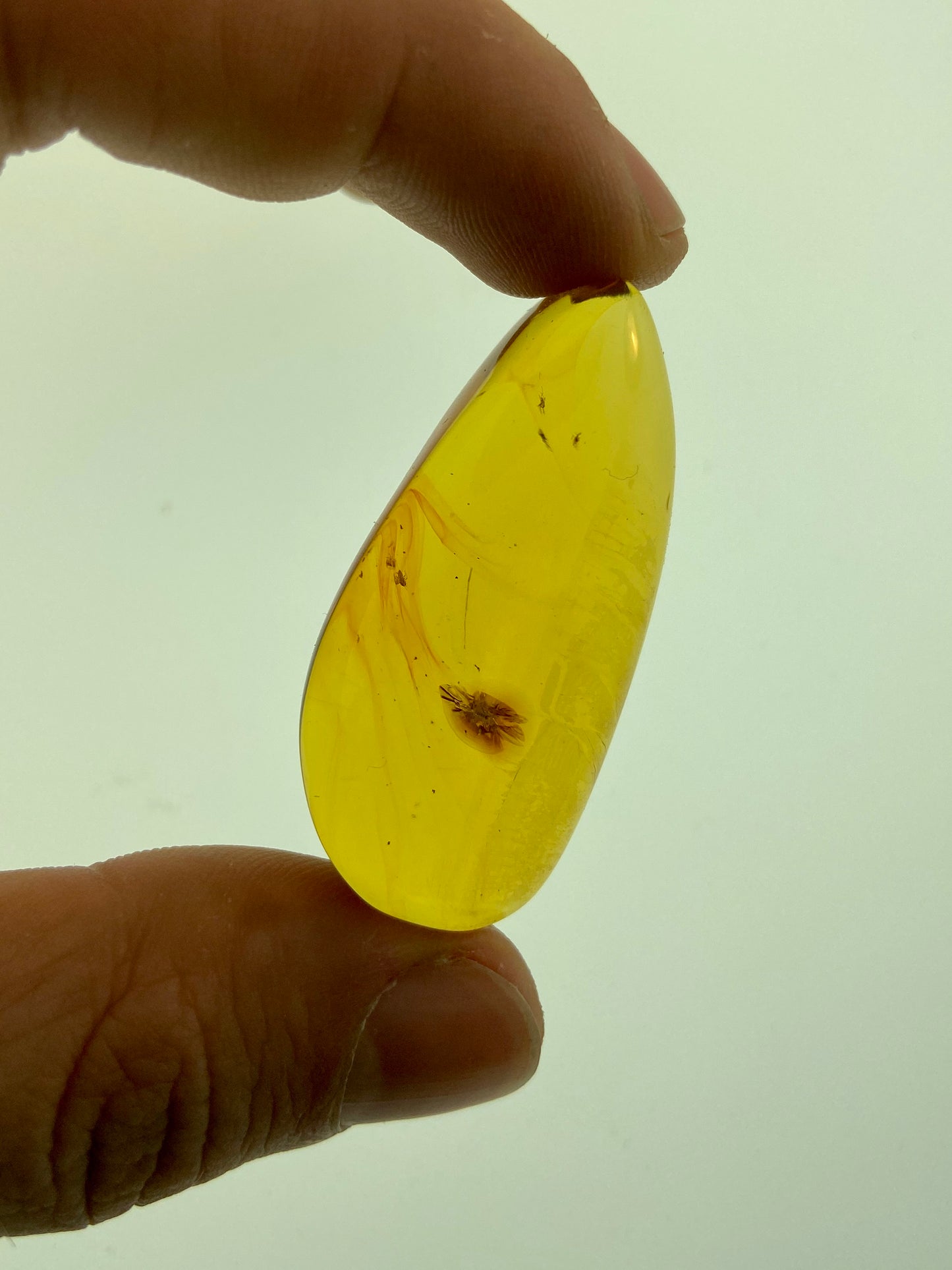 Ámbar Dominicano con Mosquitos
