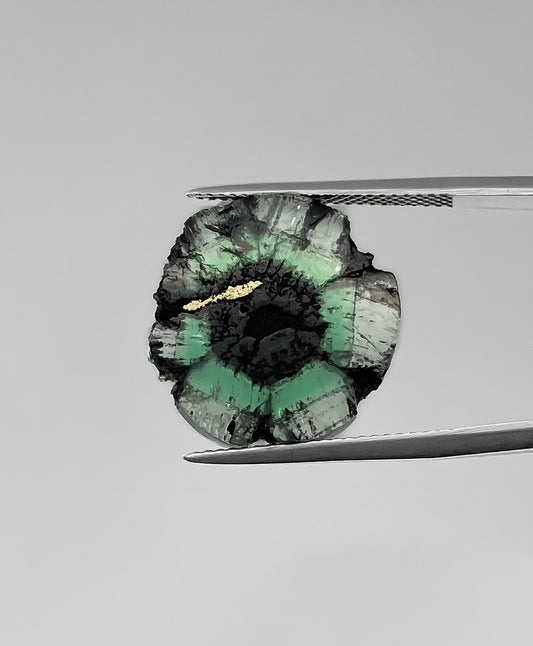 Esmeralda Trapiche 9,04 Quilates