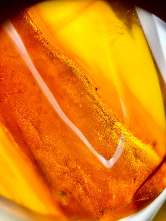 Ámbar Dominicano con Vegetación