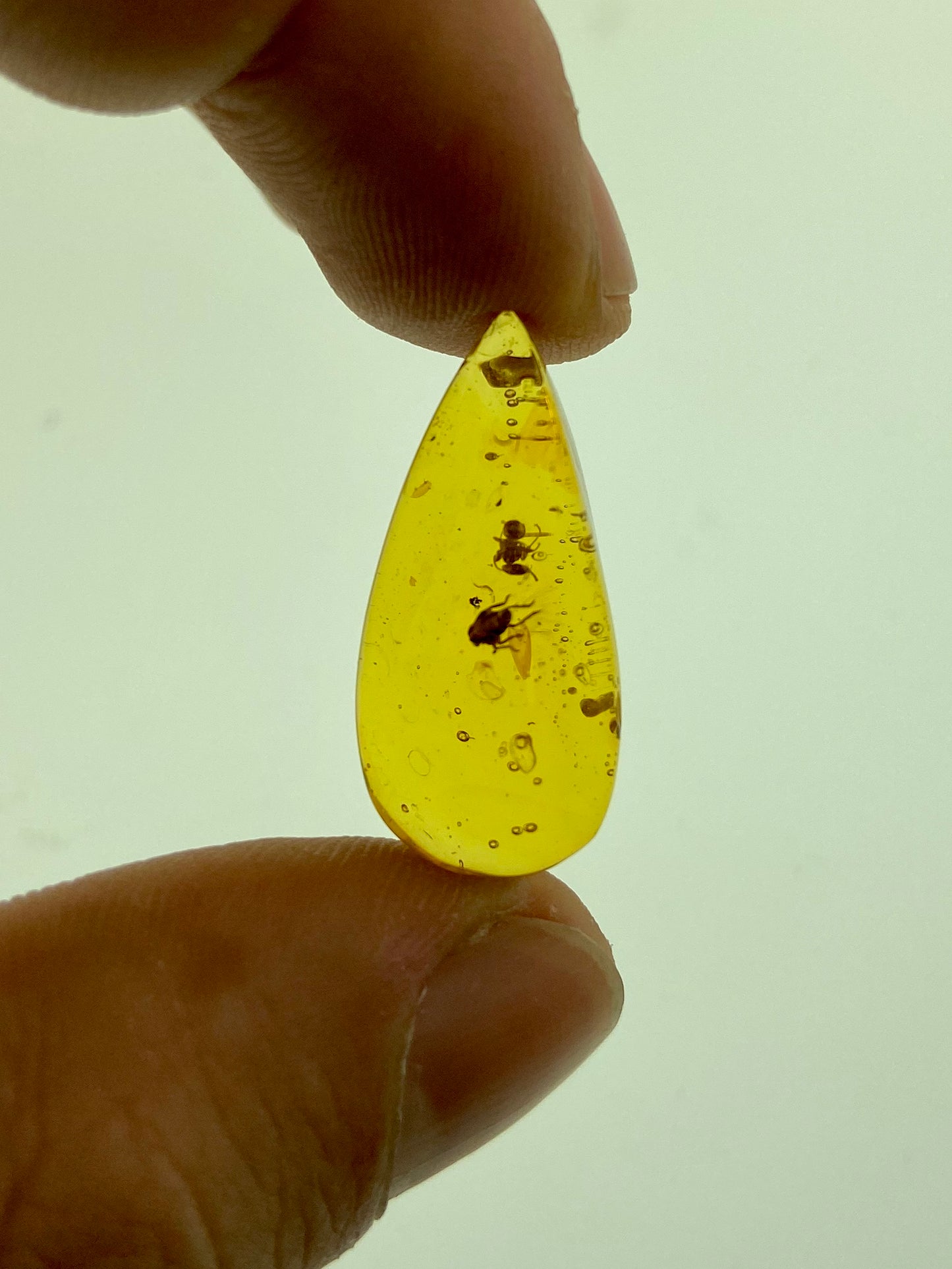 Ámbar Dominicano con Hormiga y Mosca