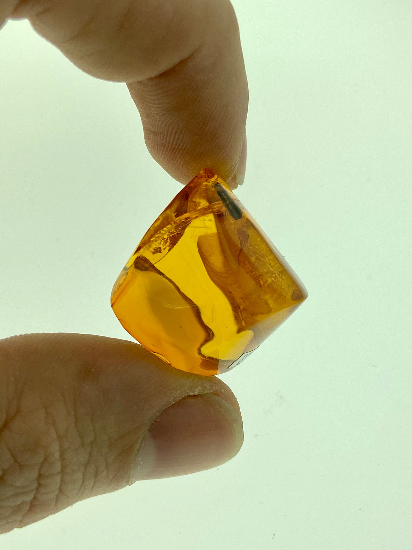 Ámbar Dominicano con Coleóptero