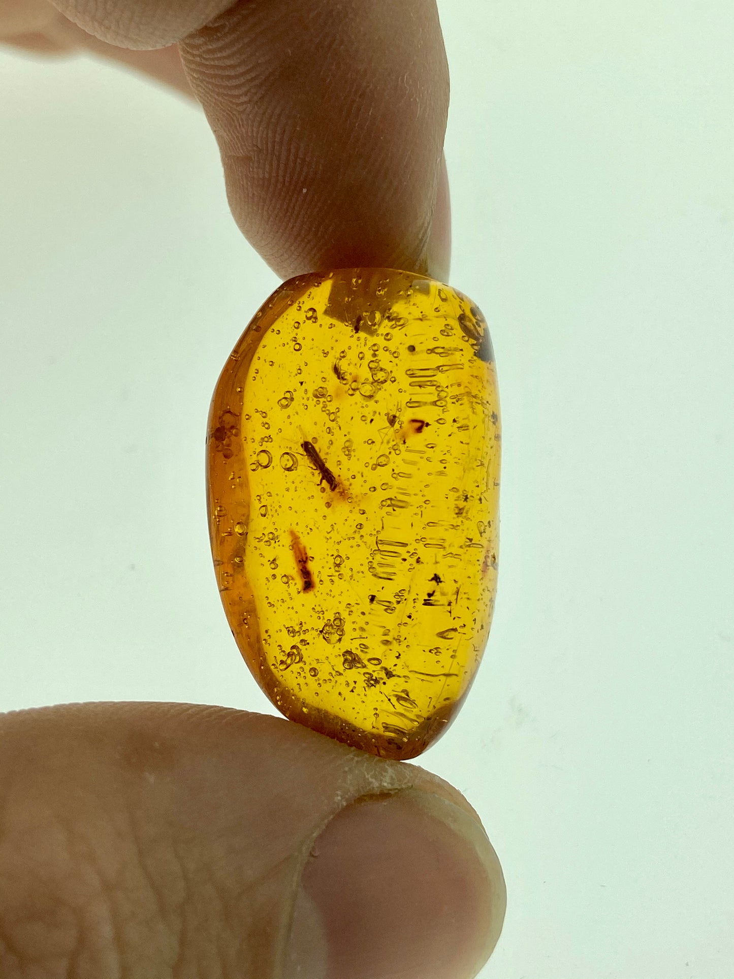 Ámbar Dominicano con Carcoma