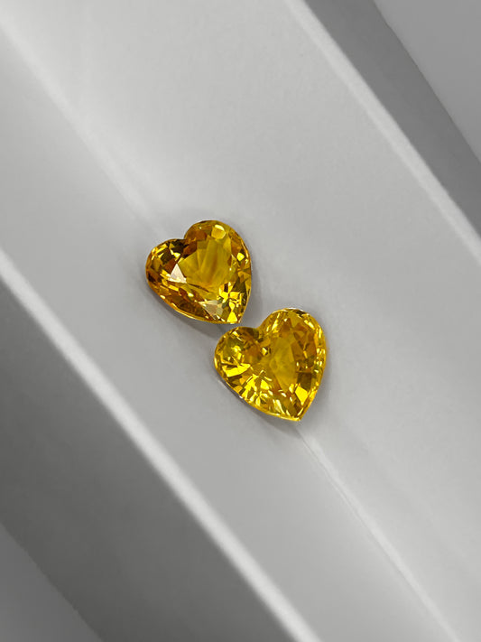 Zafiro Amarillo (pareja) 4,25 Quilates