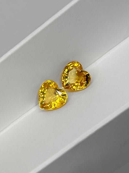 Zafiro Amarillo (pareja) 4,25 Quilates