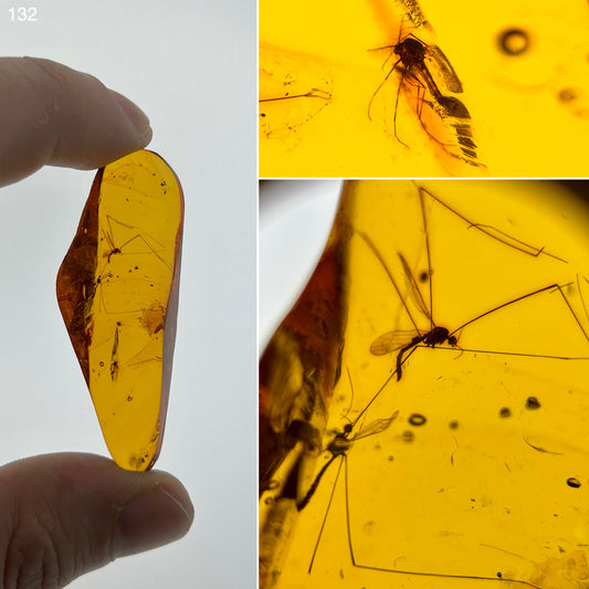 Ámbar Dominicano con Mosquitos