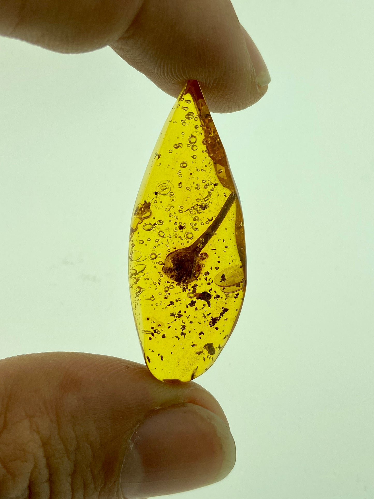 Ámbar Dominicano con Bulbo