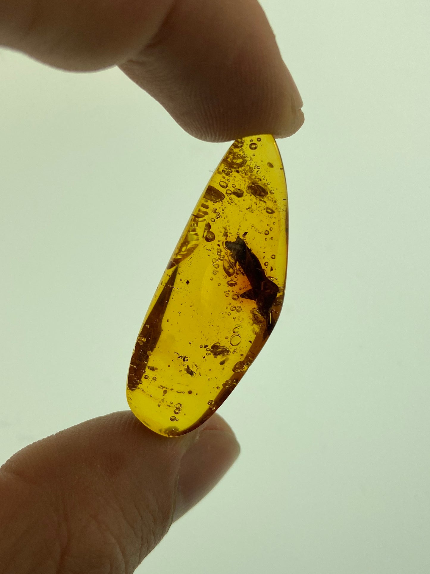 Ámbar Dominicano con Hoja