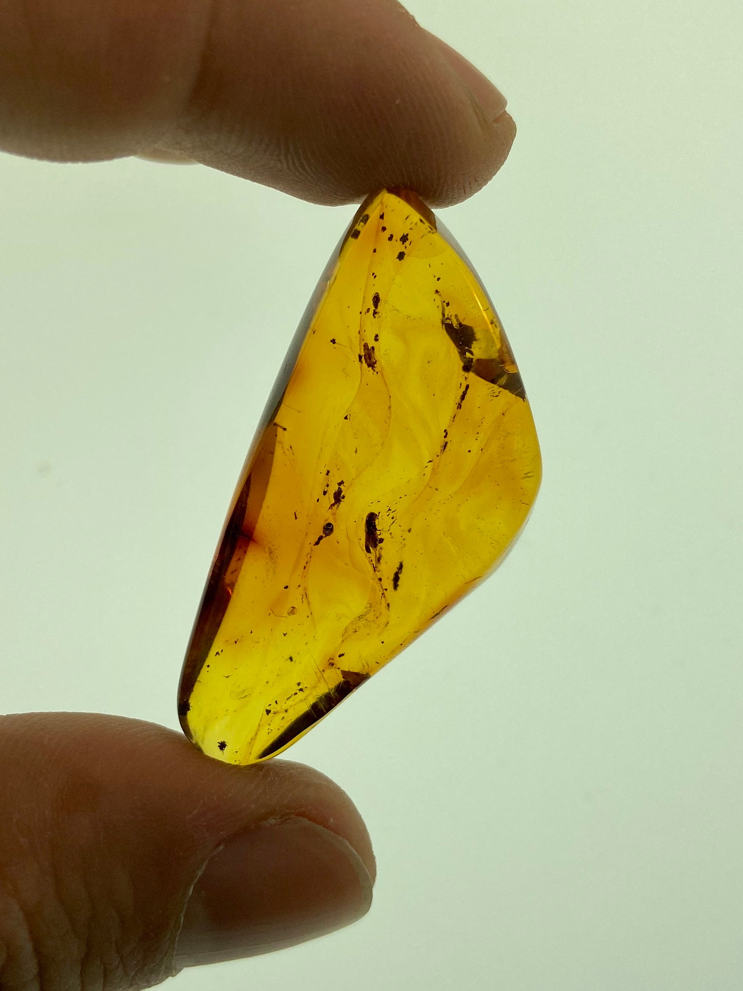 Ámbar Dominicano con Carcoma