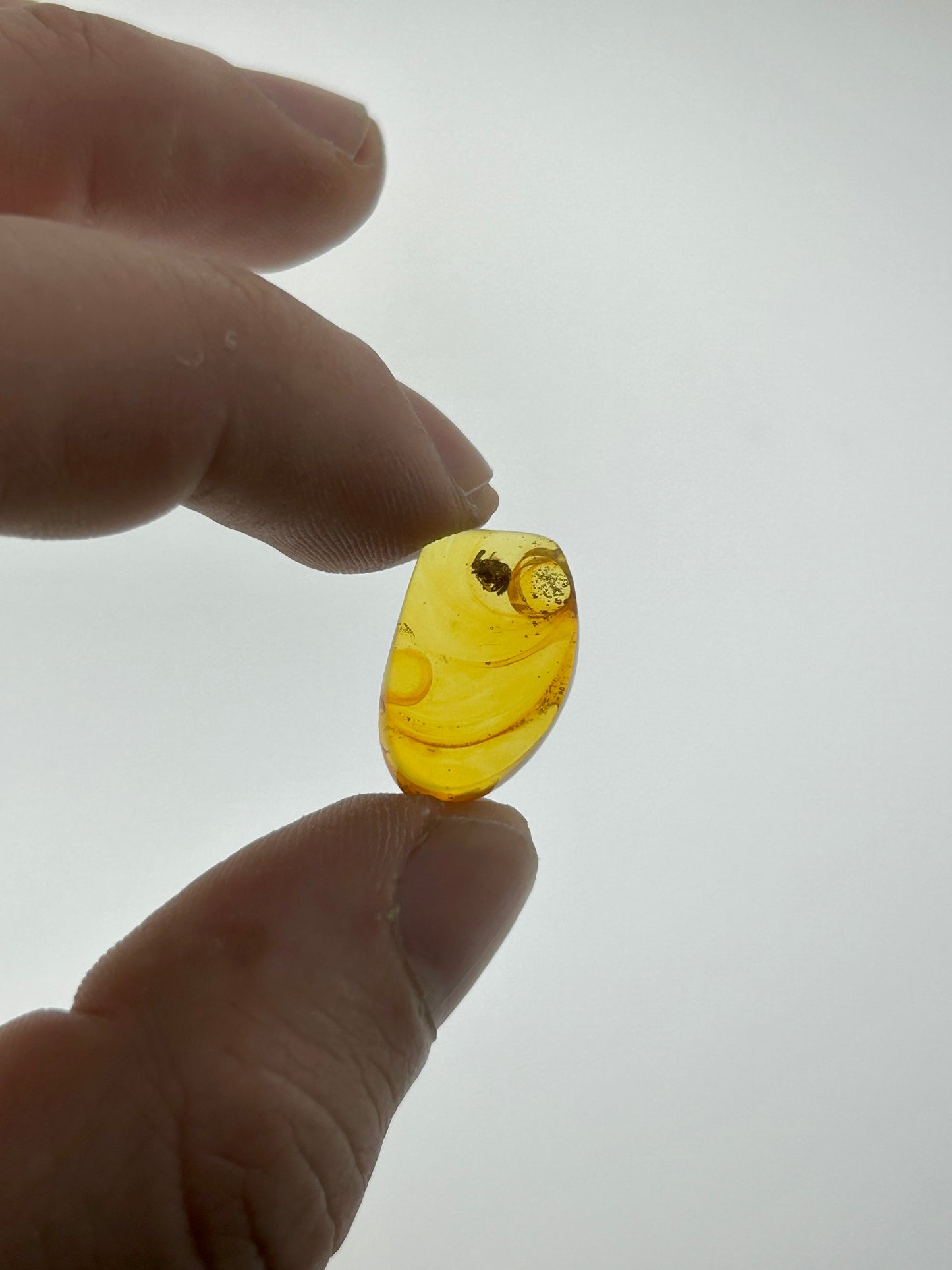 Ámbar Dominicano con Araña